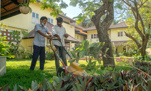 gardening
