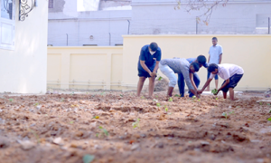 gardening2