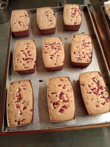 IMG-20210906-WA0093 (1)