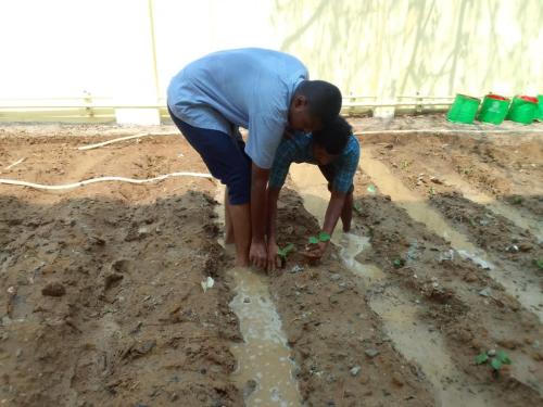 IMG-20220324-WA0007 (1)